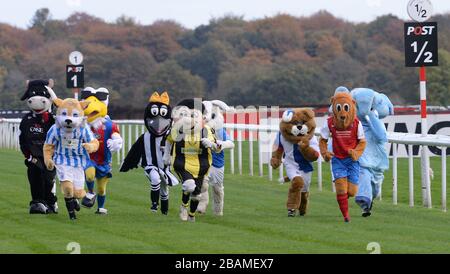 Certains coureurs de la course Mascot de Football League, en soutien au Prostate Cancer UK. Gagnant final York City FC's Yorkie The Lion (deuxième de droite) Banque D'Images