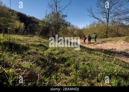 Camí de la Retirada de Molló a Prats de Molló pel Coll d'Ares, Catalogne, Europe Banque D'Images