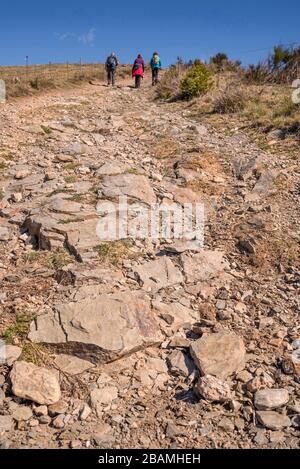 Camí de la Retirada de Molló a Prats de Molló pel Coll d'Ares, Catalogne, Europe Banque D'Images