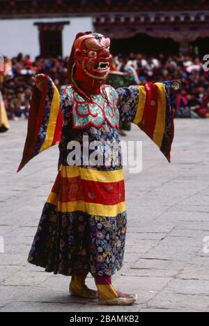 Une danseuse de moine portant un masque craintif et des défilés de costume dans la zone de danse du festival annuel Thimphu Tsechu au Bhoutan. (12-10-89) BX53 Banque D'Images