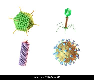 Classification des virus en forme basse. Illustration numérique. Banque D'Images