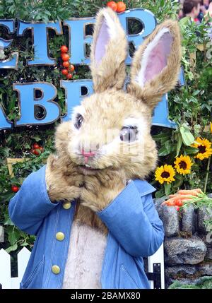 11 mars 2018 - Londres, Angleterre, Royaume-Uni - Peter Rabbit UK Gala Premiere Salons photo: Peter Rabbit Banque D'Images