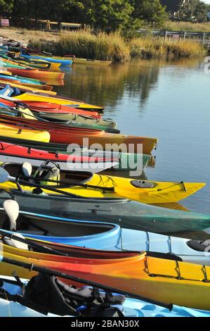 Une rangée de kayaks multicolores sur le bord de l'eau avant le lancement Banque D'Images