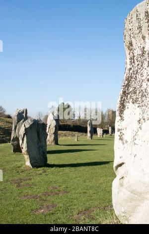 Pierres debout formant le cercle de pierres néolithique dans le village d'Avebury, Wiltshire, le jour ensoleillé de février. Banque D'Images