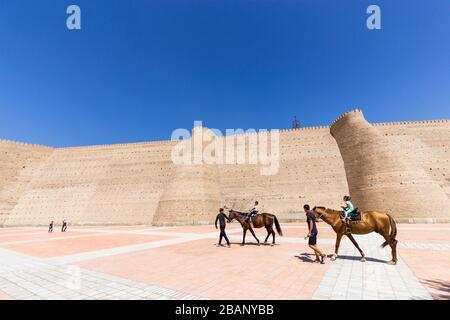 Cheval pour enfants, à la forteresse Ark, Boukhara, Buchara, Ouzbékistan, Asie centrale, Asie Banque D'Images