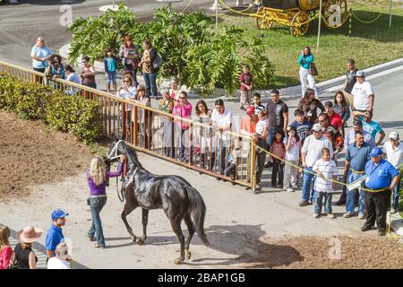 Miami Florida,Hialeah,Miami,Hialeah Park,course de chevaux quart,champ de course,FL110116046 Banque D'Images