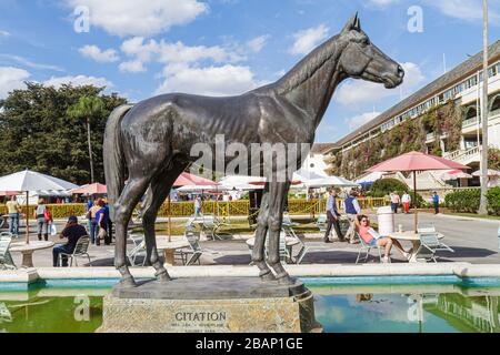 Miami Florida,Hialeah,Miami,Hialeah Park,course de chevaux de quartier,hippodrome,statue,Citation,FL110116047 Banque D'Images