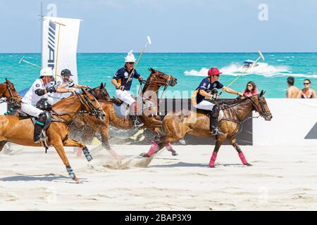 Miami Beach Florida, AMG Polo World Cup, homme hommes adultes adultes, joueur, uniforme, cheval, poney, match, FL110429032 Banque D'Images