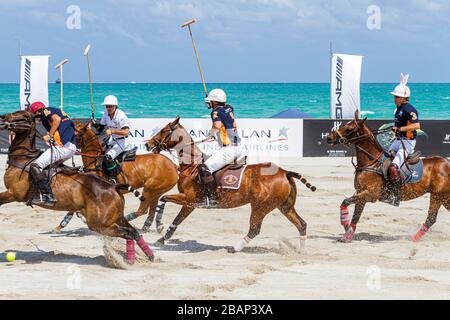 Miami Beach Florida, AMG Polo World Cup, homme hommes adultes adultes, joueur, uniforme, cheval, poney, match, FL110429031 Banque D'Images