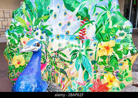 Miami Florida,Coconut Grove,paon,art,art,art,fibre de verre,peint,fleurs,plantes,botanique,FL111014026 Banque D'Images