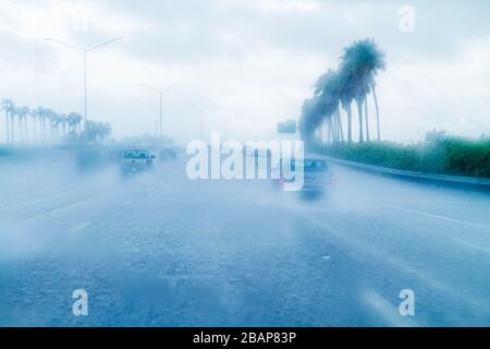 Floride,Hollywood,Interstate 95,I 95,pluie,pluie,pluie,forte,déversante,visibilité limitée,autoroute,conduite,circulation,dangereux,prudence,vue sur le pare-brise Banque D'Images