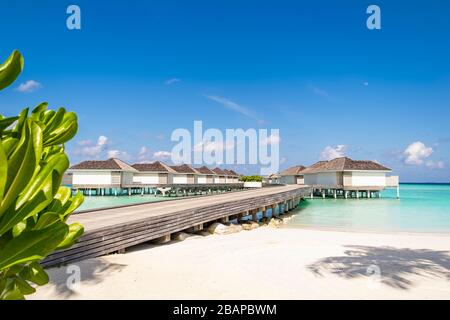 Ocean Water villa et jetée en bois avec le ciel bleu vif et l'eau de mer cristalline des Maldives Banque D'Images