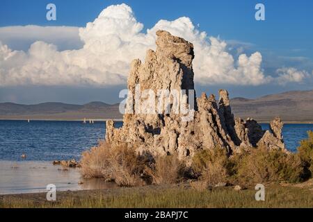 Formation de tufa sur la rive du lac Mono, comté de Mono, Californie, États-Unis. Banque D'Images