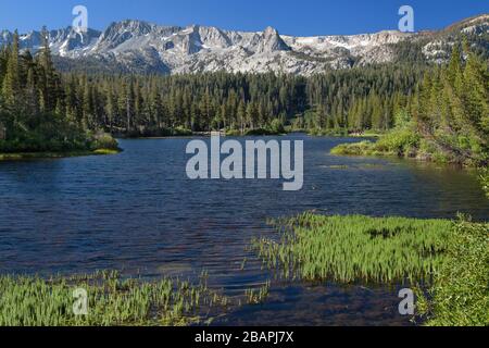 Twin Lakes Vista, Mammoth Lakes, Mono County, Californie, États-Unis. Banque D'Images