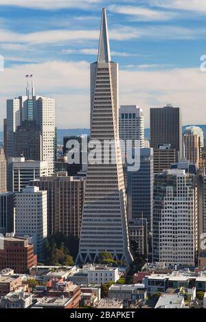 Transamerica Pyramid vue du haut de la Coit Tower, San Francisco, Californie, États-Unis. Banque D'Images