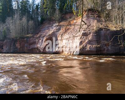 Charmant paysage printanier avec falaises de grès sur la rive de la rivière, eau de rivière fluide et claire, falaises de Kuku, rivière Gauja, Lettonie Banque D'Images