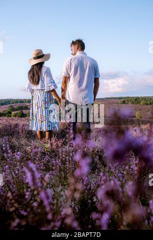 Couple marchant dans les prés, Posbank parc national Veluwezoom, fleurs champs chiné pendant lever du soleil à la Veluwe aux Pays-Bas, collines violettes Banque D'Images