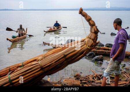 Tankwas traditionnel (bateaux à roseau) sur les rives du lac Tana. Un jeune pêcheur avec son canoë sur le lac Tana à Bahir Dah en Ethiopie. Le lac Tana est le s Banque D'Images