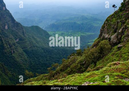 Surplombant une vallée dans le parc national des montagnes du Simien, région d'Amhara, en Éthiopie Banque D'Images