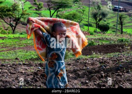 Enfants dans le village d'Adwa, région du Tigray, Ethiopie. Certaines femmes criaient à travers les céréales dans le village d'Atwa. Teff, la céréale d'Ethiopie. Le t Banque D'Images