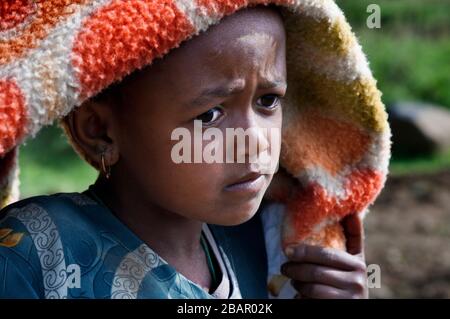 Enfants dans le village d'Adwa, région du Tigray, Ethiopie. Certaines femmes criaient à travers les céréales dans le village d'Atwa. Teff, la céréale d'Ethiopie. Le t Banque D'Images