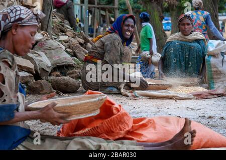 Adwa village ou Adua Tigray Region, Ethiopie. Certaines femmes criaient à travers les céréales dans le village d'Atwa. Teff, la céréale d'Ethiopie. La teff i Banque D'Images