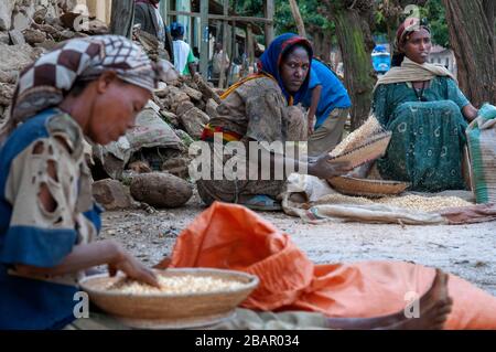 Adwa village ou Adua Tigray Region, Ethiopie. Certaines femmes criaient à travers les céréales dans le village d'Atwa. Teff, la céréale d'Ethiopie. La teff i Banque D'Images