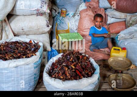 Adwa village ou Adua Tigray Region, Ethiopie. Certaines femmes criaient à travers les céréales dans le village d'Atwa. Teff, la céréale d'Ethiopie. La teff i Banque D'Images