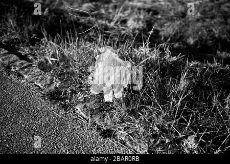 Kranj, Slovénie, 20 mars 2020: Un gant de protection en plastique jeté se trouve sur la route pendant l'épidémie de coronavirus verrouillage à l'échelle nationale. Banque D'Images