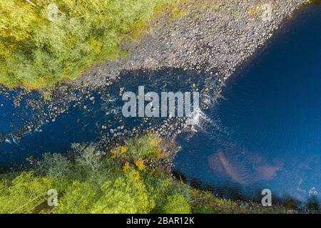 Vue aérienne d'une rivière rapide dans la nature entourée d'arbres Banque D'Images