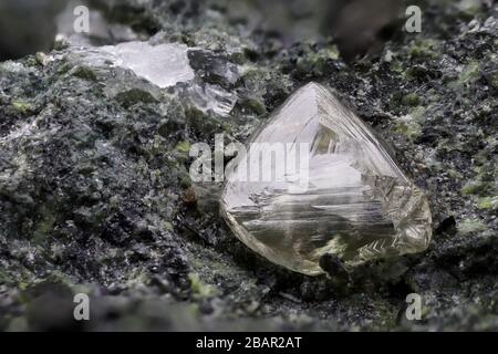 Diamant naturel sud-africain niché dans la kimberlite Banque D'Images