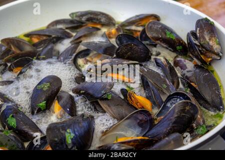 Moules bleues bouillantes (Mytilus edulis) dans la fermeture du vin blanc Banque D'Images