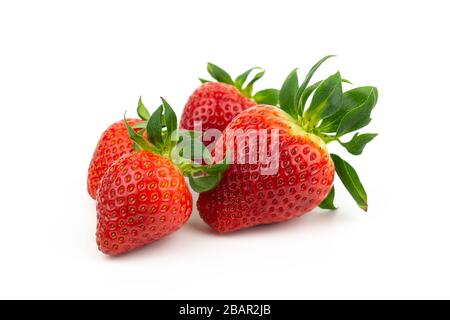 fruits frais de fraise de jardin isolés sur un espace de copie blanc closeup Banque D'Images