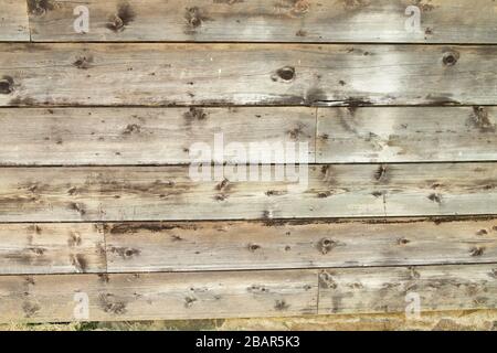 Proche uo du motif d'un mur en bois de bois dans le petit village pittoresque de pêche de Cadgwith, Cornwall, Angleterre Banque D'Images