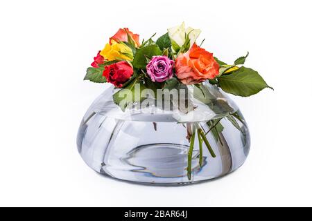 belles roses multicolores de gros plan dans un vase transparent sur fond blanc Banque D'Images