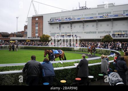 Les chevaux sont marchés autour de l'anneau de parade avant la williamhill.com - la maison de Betting Novices's Hurdle Banque D'Images