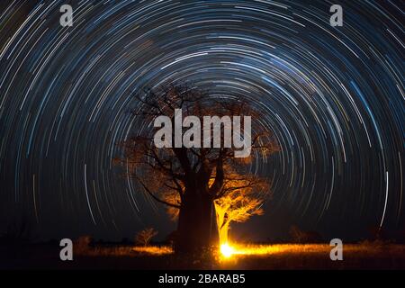 StarTrail et feu de camp au camping Baines Banque D'Images