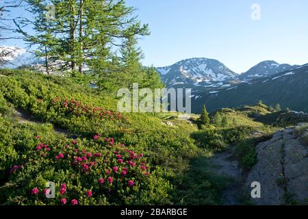 vue de la plaine haute de simplon aux sommets environnants du valais, en suisse Banque D'Images