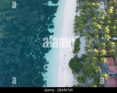 Vue aérienne en haut de la plage d'Algérie sur une île tropicale paradisiaque de Siargao, Philippines Banque D'Images