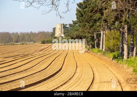 Église des Saints, Ramsholt, Suffolk, Angleterre, Royaume-Uni Banque D'Images