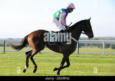 Jockey Jeremiah McGrath sur la nuisance va à la poste pour l'Association des éleveurs de Thoroughbred Mares 'National Hunt' Novices' Hurdle Banque D'Images