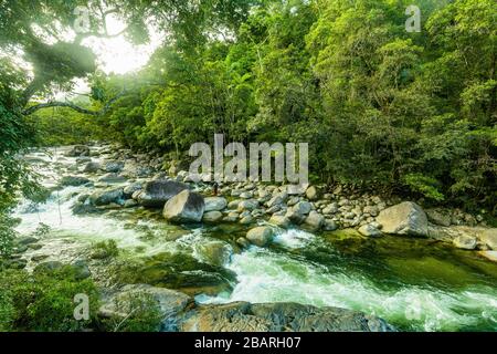 Mossman gorge - rivière dans le parc national de Daintree, au nord du Queensland, en Australie. Banque D'Images