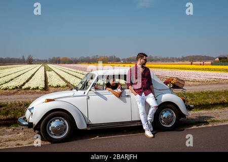 Lisse Pays-Bas avril 2019, une voiture classique et blanche Volkswagen Beetle sur un pré couvert de fleurs dans la région bulbe avec fleurs de printemps fleuries et Banque D'Images