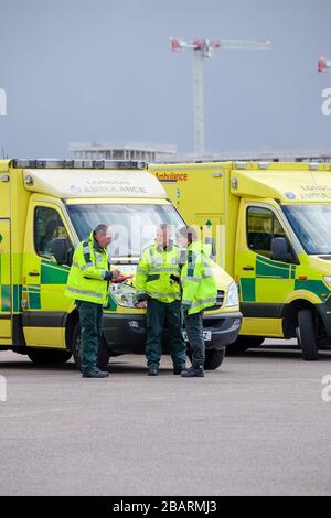 Londres, Royaume-Uni. 29 mars 2020. Le London UK Excel Center se prépare à traiter les patients de Covid-19 « en quelques jours ». Maintenant rebaptisé NHS Nightingale Hospital pour lutter contre le crédit britannique de bataille contre le coronavirus : Michelle Sadgrove/Alay Live News Banque D'Images