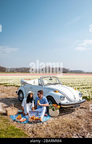 Lisse Pays-Bas avril 2019, une voiture classique et blanche Volkswagen Beetle sur un pré couvert de fleurs dans la région bulbe avec fleurs de printemps fleuries et Banque D'Images