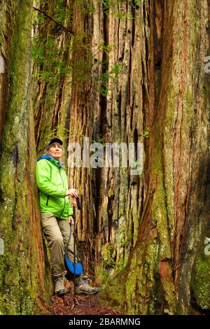 Hatton Loop Trail, parc national de Jedediah Smith Redwoods, parc national de Redwood, Californie Banque D'Images