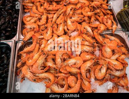 Crevettes en vente sur le marché du week-end Bastille, Paris, France Banque D'Images