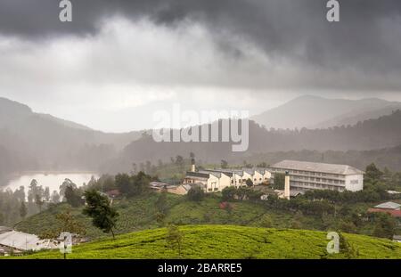 Usine de thé avec nuages moody au-dessus de Nuwara Eliya dans le pays de colline du Sri Lanka Banque D'Images