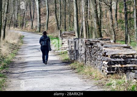 Vienne, Autriche. Lainzer Tiergarten. Aire de loisirs et destination populaire pour la population locale et les touristes à Vienne. Banque D'Images