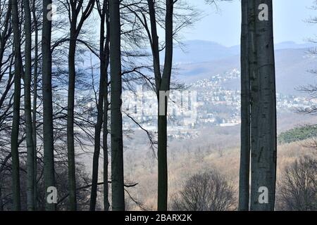 Vienne, Autriche. Lainzer Tiergarten. Aire de loisirs et destination populaire pour la population locale et les touristes à Vienne. Banque D'Images